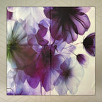 FAHABO Iconic Collection Digital Print Swiss Butter Cotton Scarf Stole for Women (Orchid Purple - Pu)