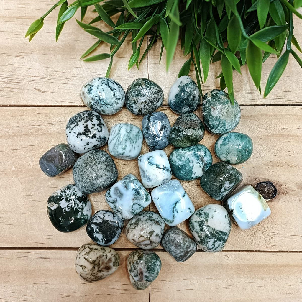 Tree Agate Tumble Stone 50 Gm | Natural Healing Crystal for Calm Energy, Emotional Stability & Growth | Polished Pebble Stones for Meditation, Spiritual Home Decor, Vastu & Gifting (2-4 Pcs)