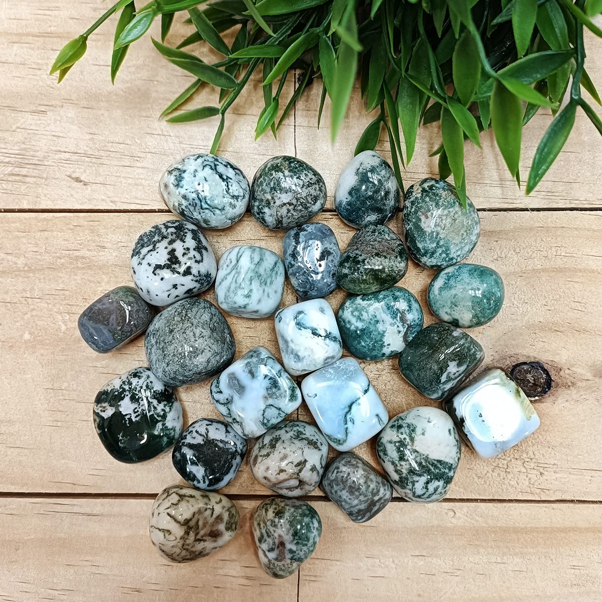 Tree Agate Tumble Stone 50 Gm | Natural Healing Crystal for Calm Energy, Emotional Stability & Growth | Polished Pebble Stones for Meditation, Spiritual Home Decor, Vastu & Gifting (2-4 Pcs)