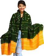 Exotic India Women's Shawl (SWG08-green-and-apricot_Multi_FS)
