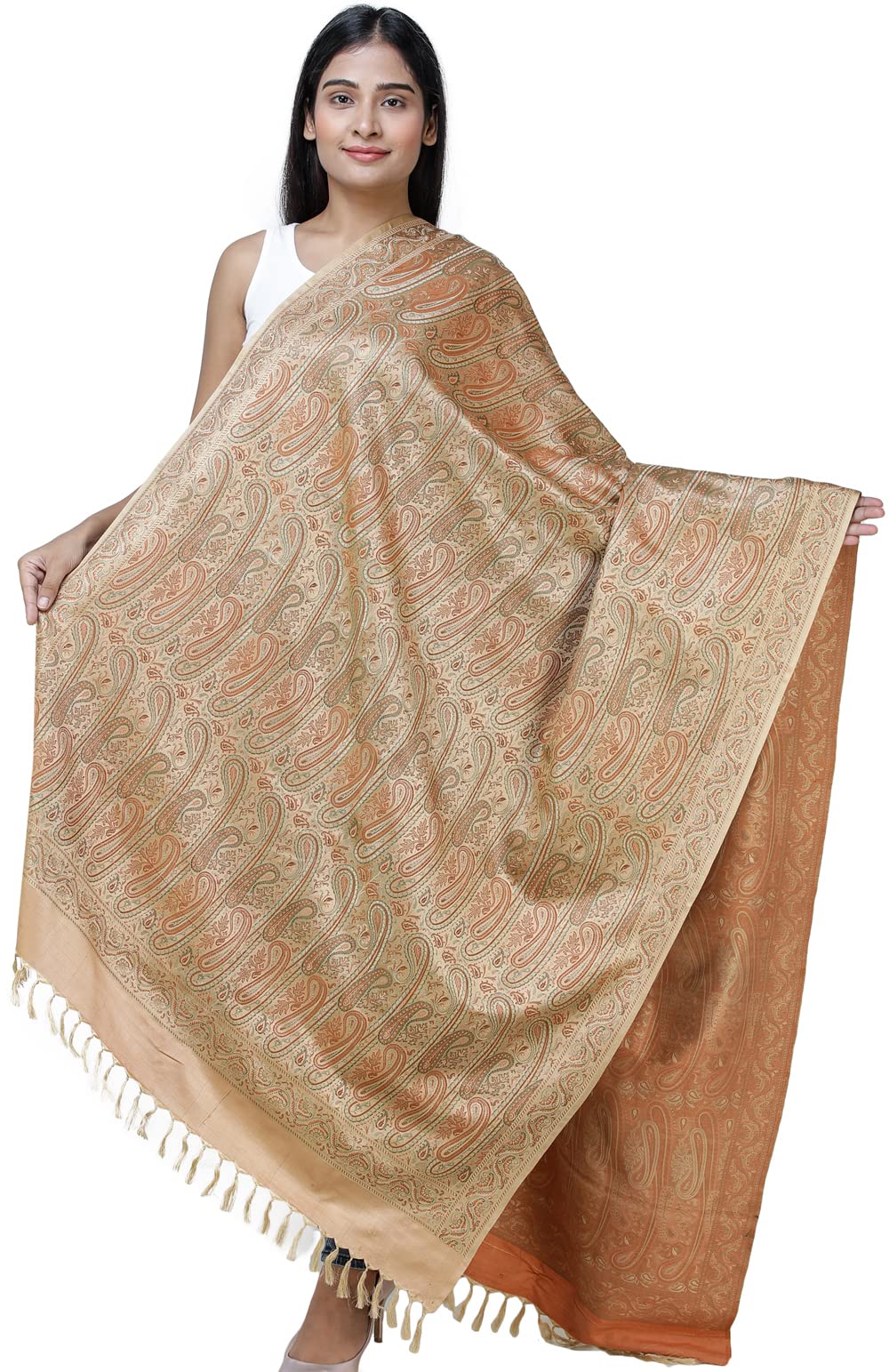 Exotic India Women's Banarasi Pure Silk Wool Shawl (SHX04--khaki)