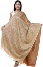 Exotic India Women's Banarasi Pure Silk Wool Shawl (SHX04--khaki)