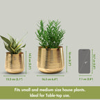 BEHOMA Metal Ribbed Design Planter for Home, Golden - Set of 2