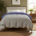 Day Care® 600 GSM Premium Comforter | Cloud Down Touch Microfiber Quilt | Heavy Warm Winter Blanket Rajai | Soft, Lightweight & Machine Washable - 60x90 Single Bed | Silver/Medium Blue Kafalo