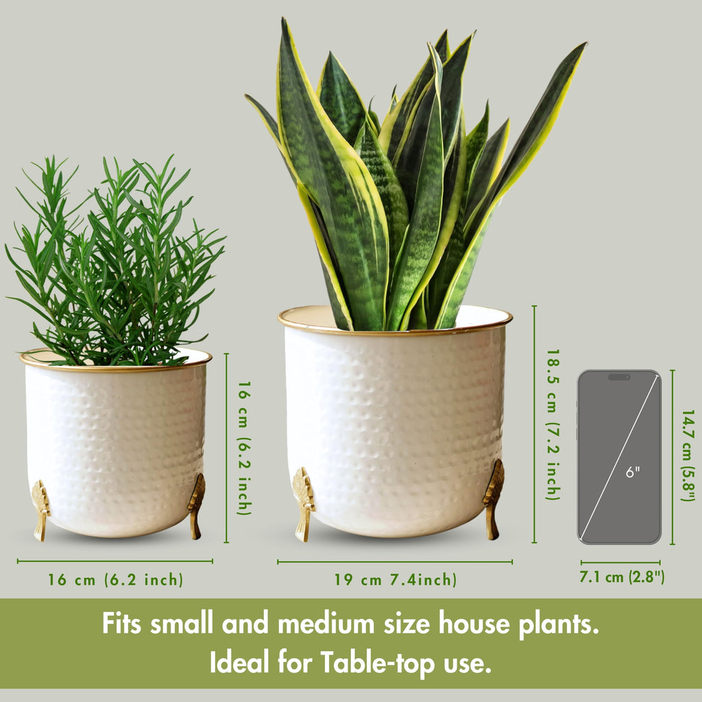 BEHOMA Metal Hammered Leaf Leg Planter Set, Golden - Set of 2