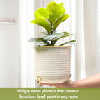 BEHOMA Metal Hammered Leaf Leg Indoor Planter, Gold