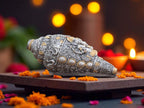 KridayKraft Decorative Lord Ganesha Shank, Silver -Toned, Conch Shell for Wealth, Prosperity and Good Luck Intricate Design, 12 (5) cm x 6 cm