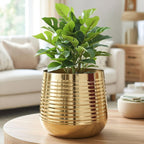 BEHOMA Metal Ribbed Design Planter for Home, Golden