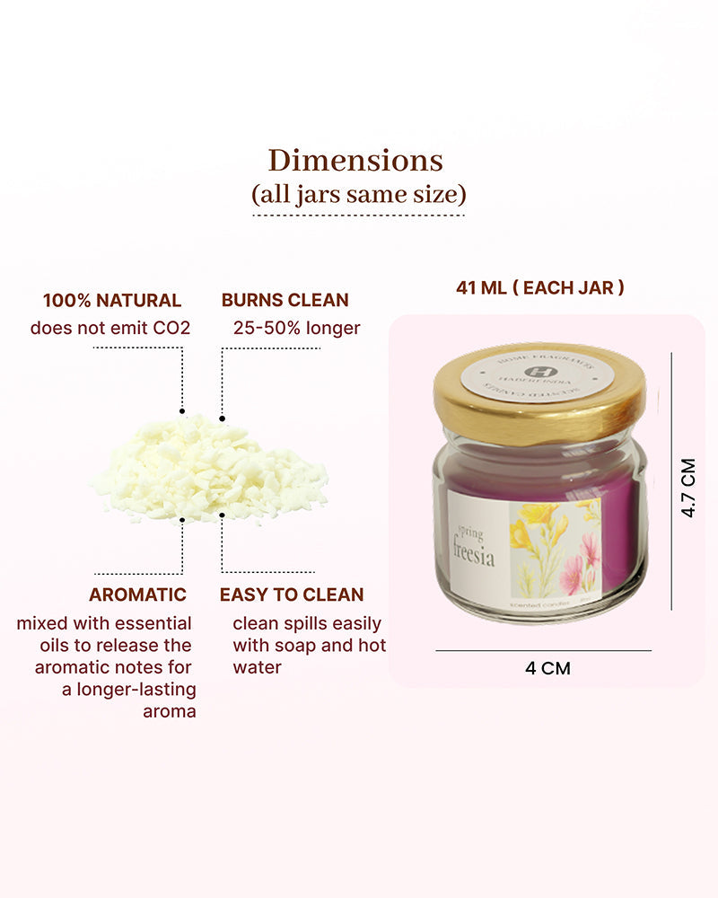 Set of 6 Scented Aroma Candles, 26gm Each with 6–8 Hour Burn for Fragrance and Gifting