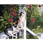 Cozy Cats DIY Paint By Numbers Kit Nestasia