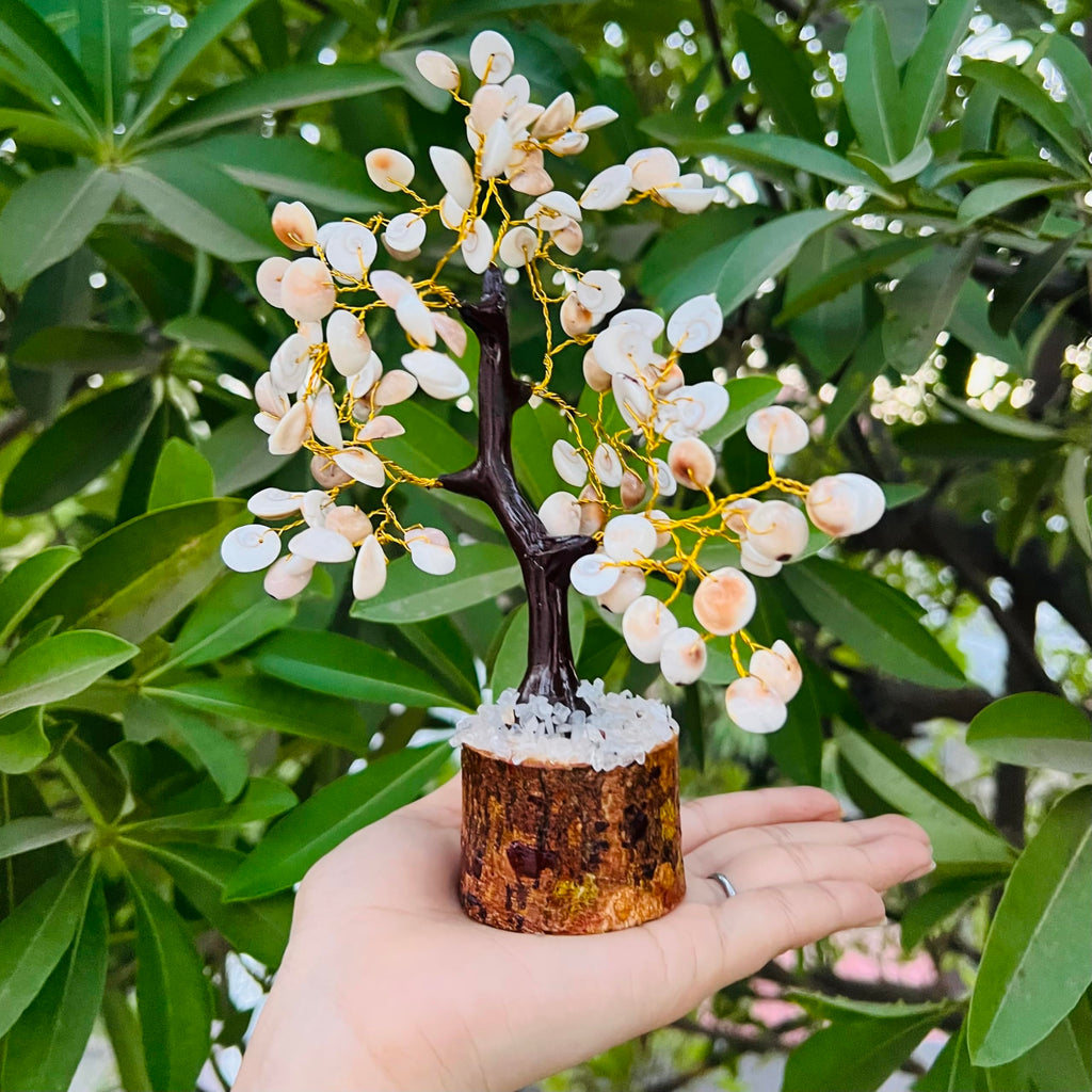Galox Natural & Original Gomti Chakra | Gomati Chakra Tree for Good Luck & Prosperity Decorative Showpiece Tree (100 Bead Gomti Chakra Tree)