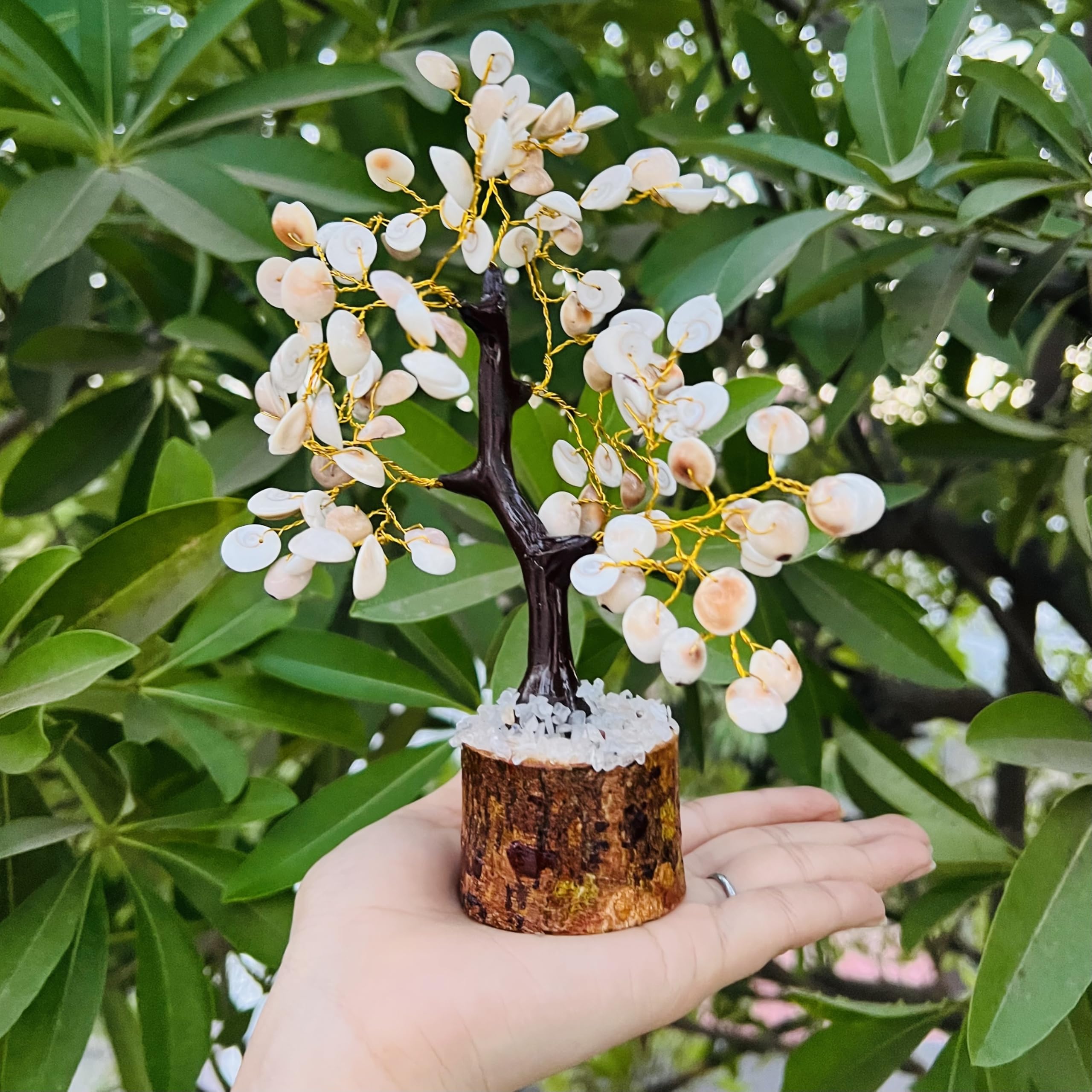 Galox Natural & Original Gomti Chakra | Gomati Chakra Tree for Good Luck & Prosperity Decorative Showpiece Tree (100 Bead Gomti Chakra Tree)