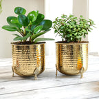 BEHOMA Hammered Gold Metal Planter for Home, Golden - Set of 2