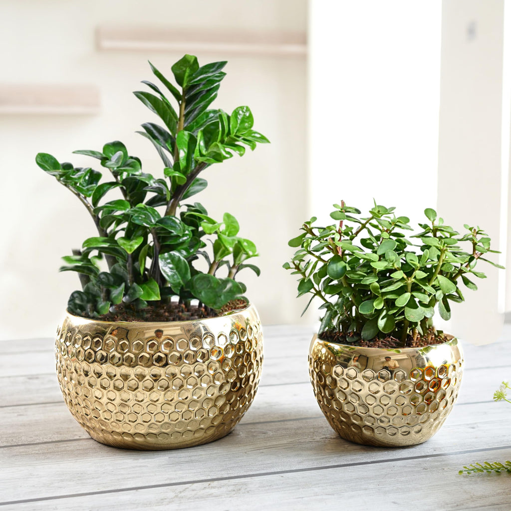 BEHOMA Metal Honeycomb Design Golden Planter for - Set of 2