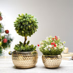 BEHOMA Metal Honeycomb Design Golden Planter for - Set of 2