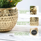 BEHOMA Metal Honeycomb Design Golden Planter for - Set of 2