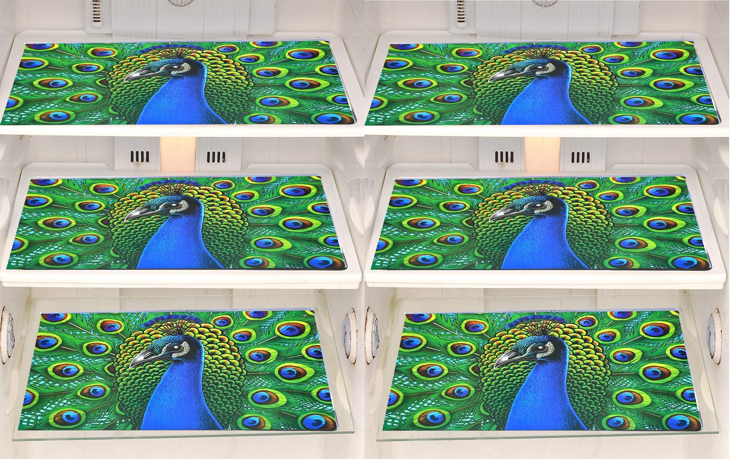 FACTCORE Refrigerator Drawer Mat/Fridge Mat Set of 6 Piece (11.5 X 17.5 Inches) (Peacock) Kafalo