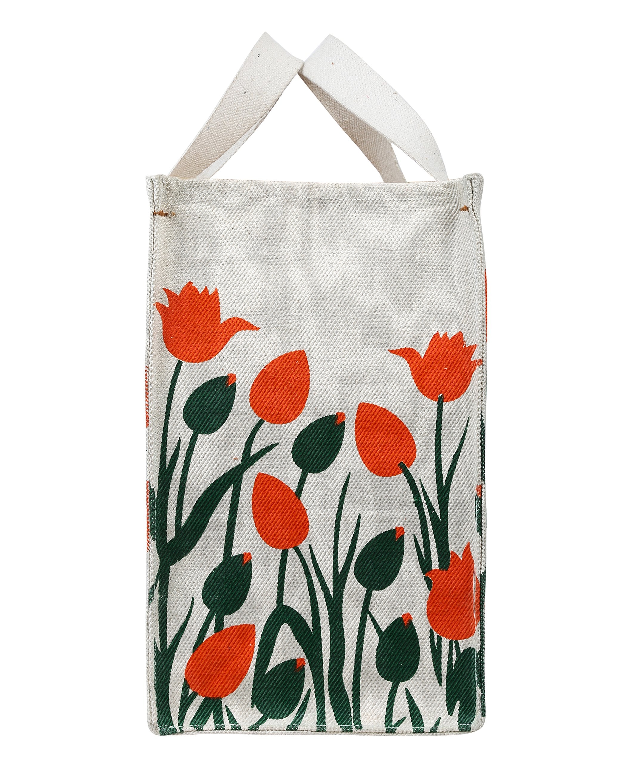 DOUBLE R BAGS Eco Cotton Canvas Shopping Bag | Reusable Grocery & Vegetable Carry Bag with Reinforced Handles | Milk, Fruits & Kitchen Essential (Multicolor, 41.8x21.5x38 cm, 1 Compartment)