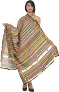 Exotic India Women's Kutch Wool Shawl (SHN85--amber)