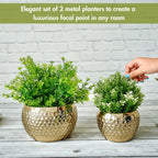 BEHOMA Metal Honeycomb Design Golden Planter for - Set of 2