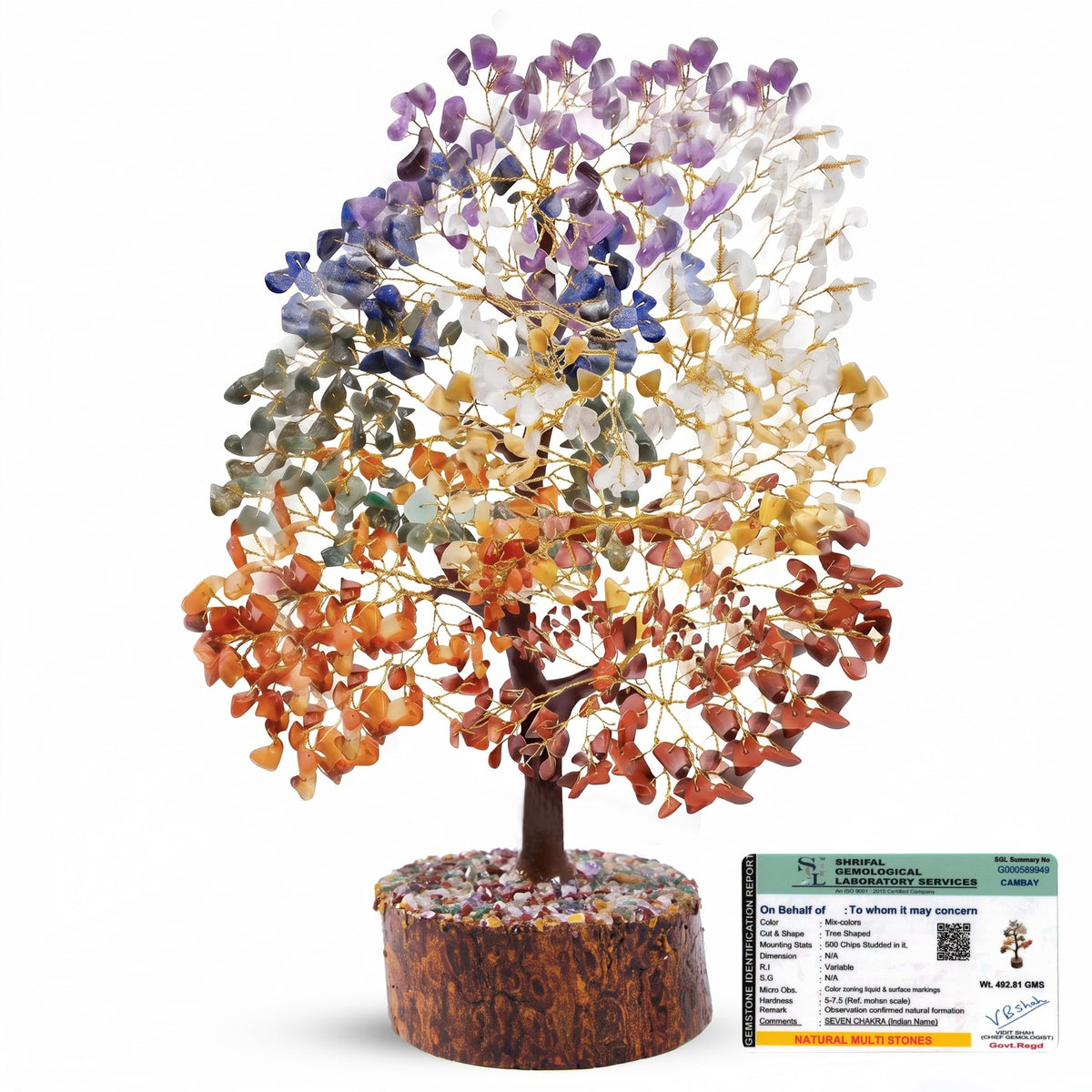 Axilla 500 Beads 7 Chakra Crystal Tree of Life for Positive Energy | Big Size Natural Healing Gemstone Money Tree | Showpiece for Home Decor, Living Room & Office Desk | Feng Shui Luck (Multicolor)