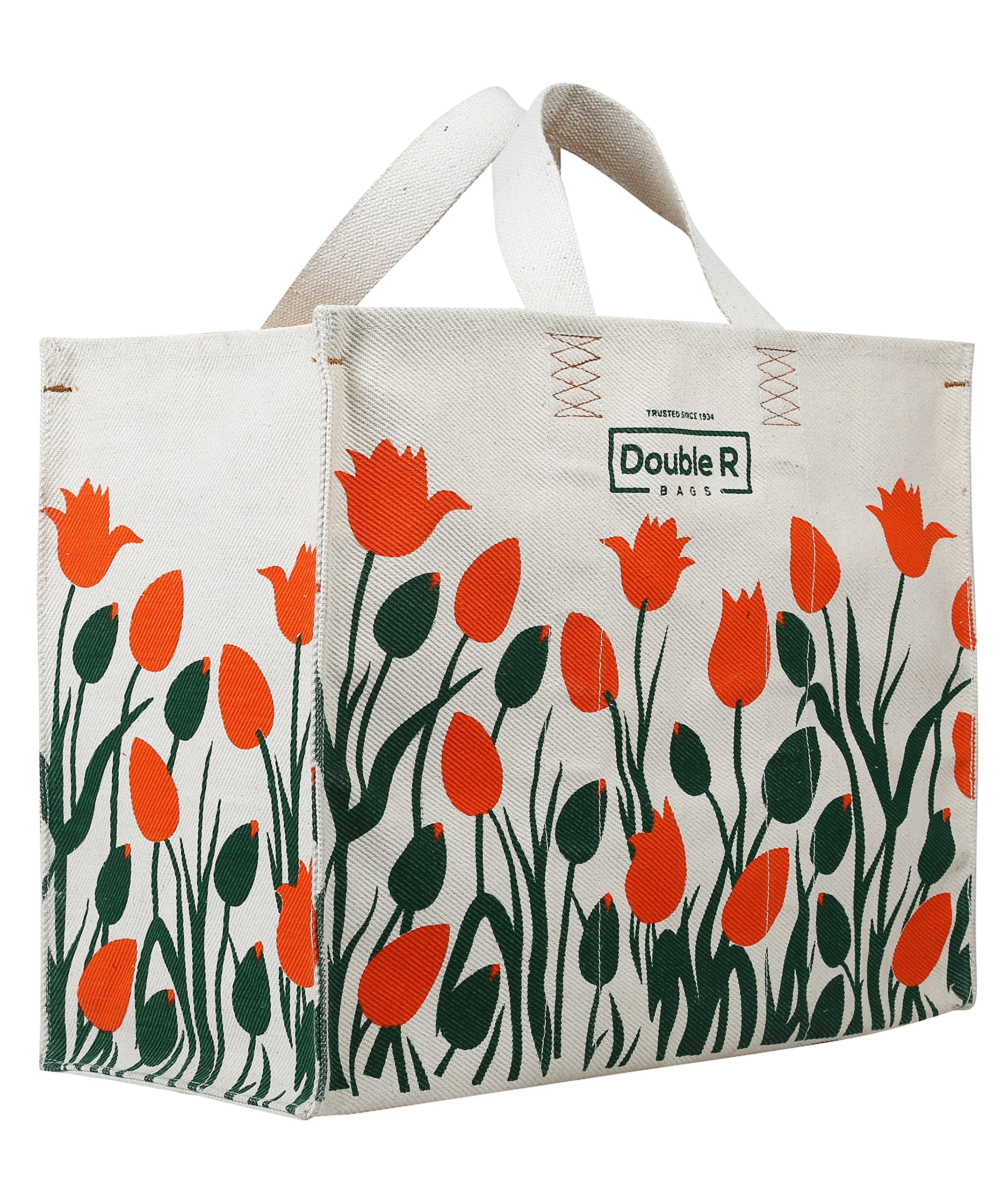 DOUBLE R BAGS Eco Cotton Canvas Shopping Bag | Reusable Grocery & Vegetable Carry Bag with Reinforced Handles | Milk, Fruits & Kitchen Essential (Multicolor, 41.8x21.5x38 cm, 1 Compartment)