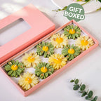 Daisy Floating Candle Set Of 10 In Gift Box With Gold Foil Flowers Nestasia