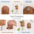 Acacia Wall Mounted Test Tube Planter Set Of 2 Nestasia