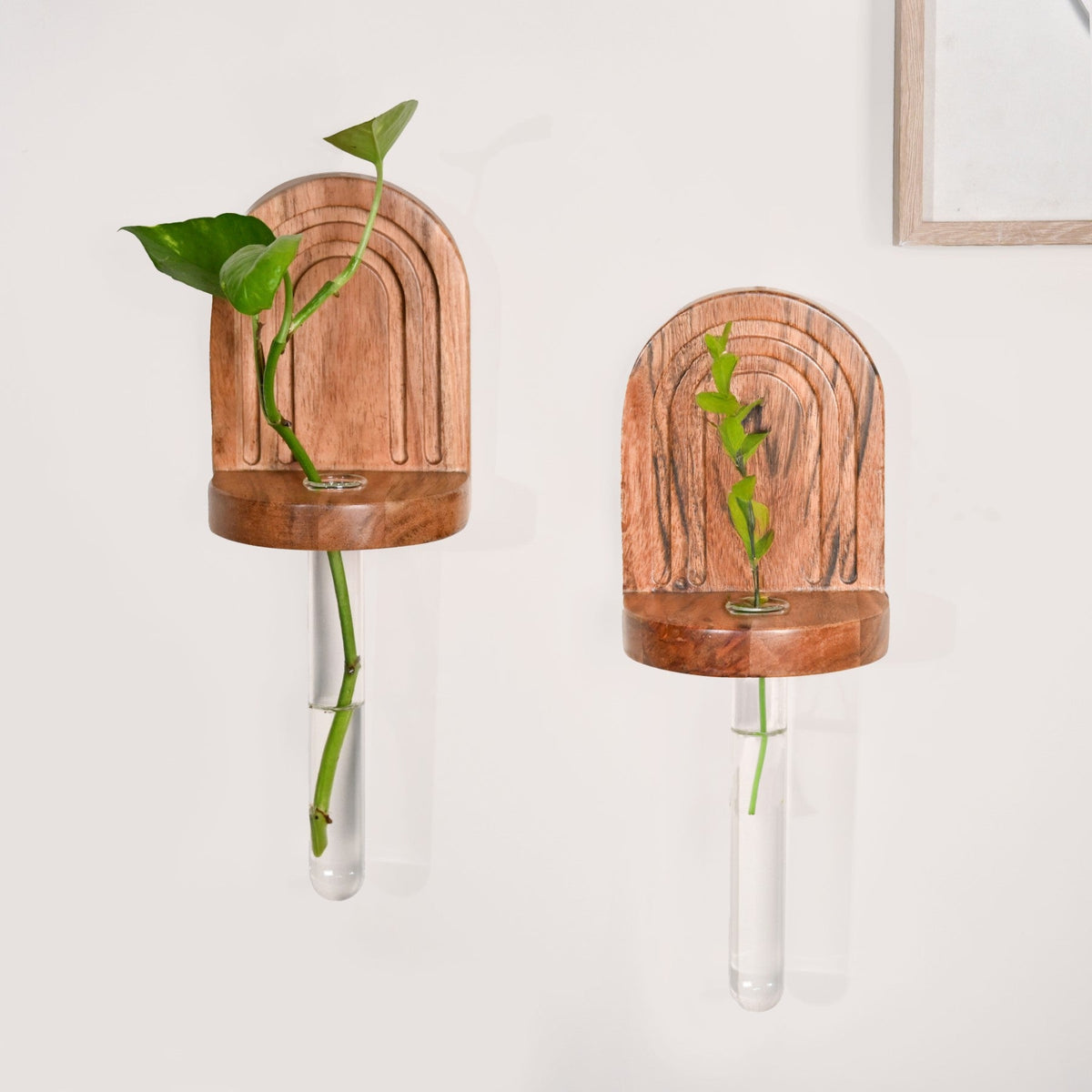 Acacia Wall Mounted Test Tube Planter Set Of 2 Nestasia