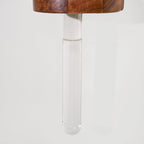 Acacia Wall Mounted Test Tube Planter Set Of 2 Nestasia