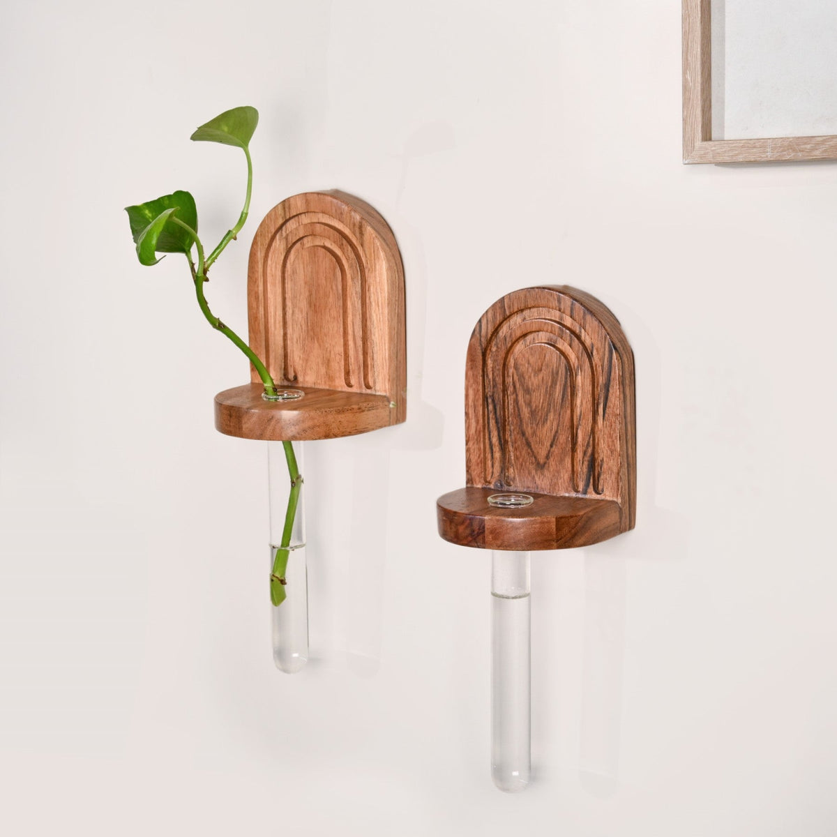 Acacia Wall Mounted Test Tube Planter Set Of 2 Nestasia