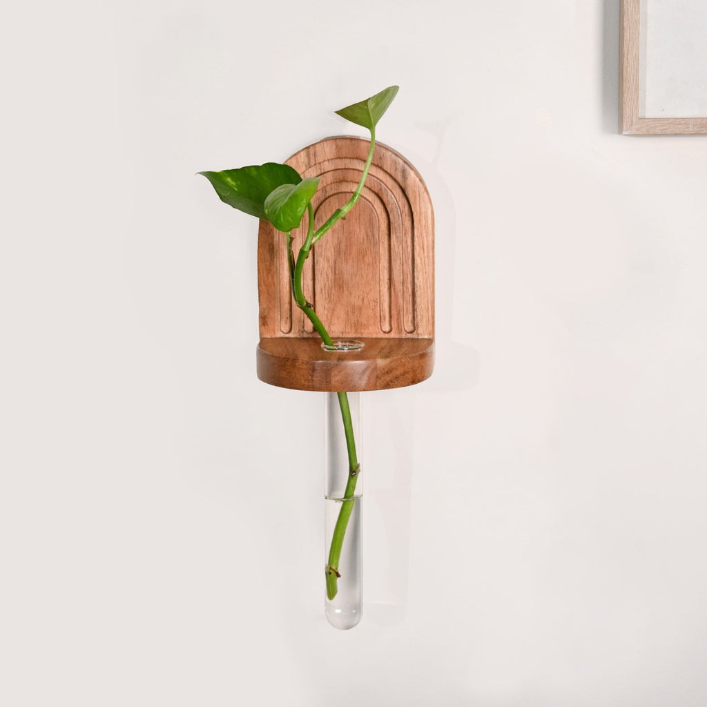 Acacia Wall Mounted Test Tube Planter Set Of 2 Nestasia
