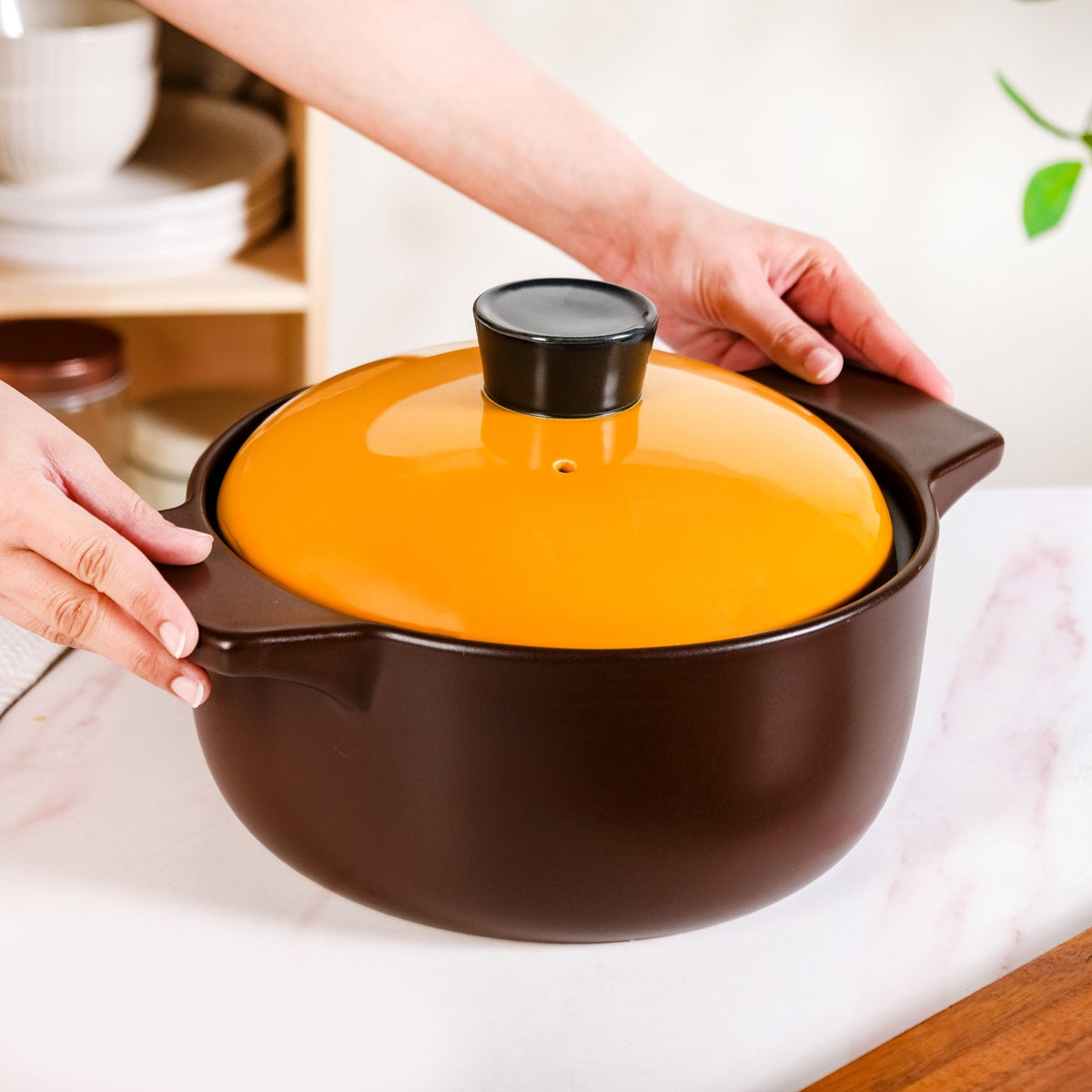 Clementine Ceramic Cooking Pot 4000ml Nestasia