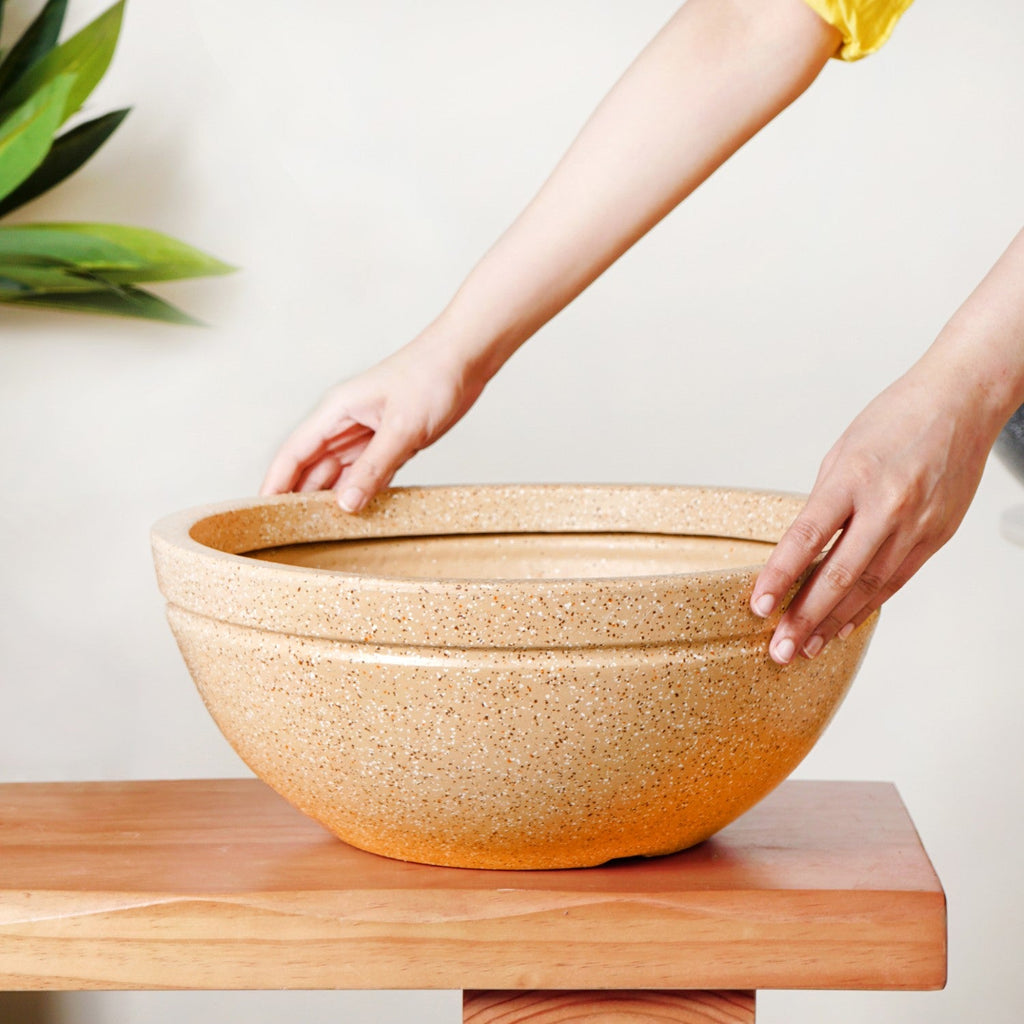 Planterra Beige Round Lotus Planter 15x9 Inch Nestasia