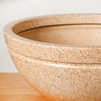 Planterra Beige Round Lotus Planter 15x9 Inch Nestasia