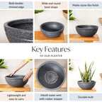 Planterra Granite Black Round Lotus Planter 15x7 Inch Nestasia
