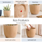 Planterra Large Beige Planting Pot 15x14 Inch Nestasia