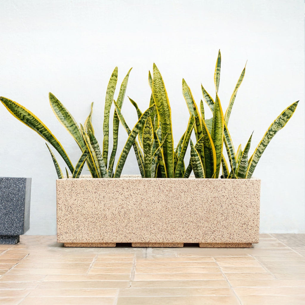 Planterra Modern Beige Trough Planters 24x8 Inch Nestasia