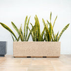 Planterra Modern Beige Trough Planters 24x8 Inch Nestasia