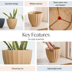 Planterra Ribbed Beige Planting Pot 12x12 Inch Nestasia