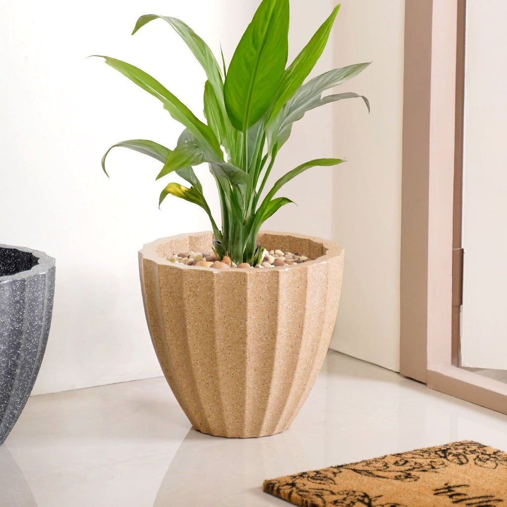 Planterra Ribbed Beige Planting Pot 12x12 Inch Nestasia