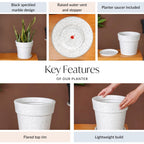 Planterra White Planter With Plate 10x9 Inch Nestasia