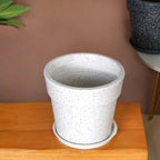 Planterra White Planter With Plate 10x9 Inch Nestasia