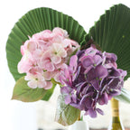 Artificial Green Leaf Nestasia