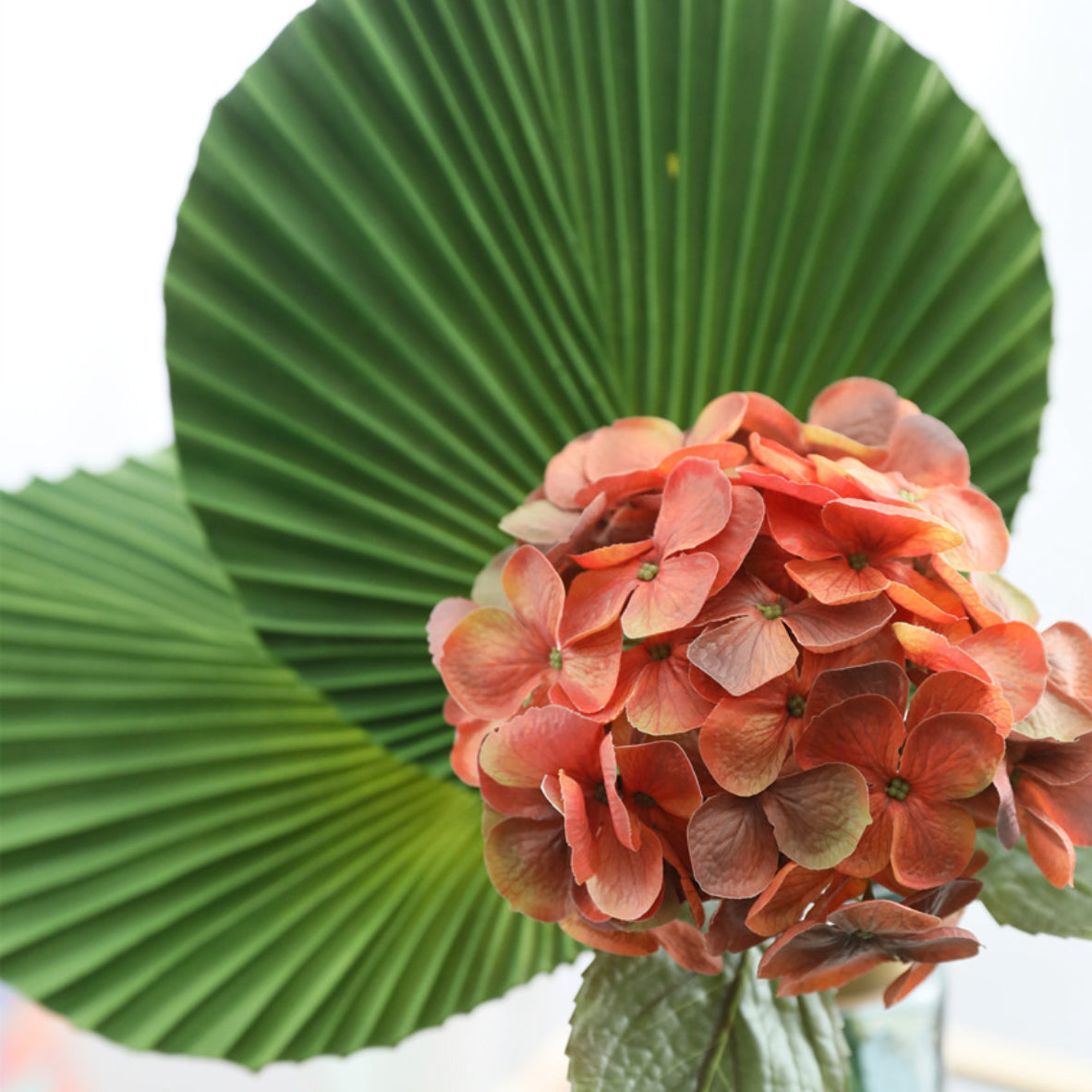 Artificial Green Leaf Nestasia