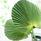 Artificial Green Leaf Nestasia