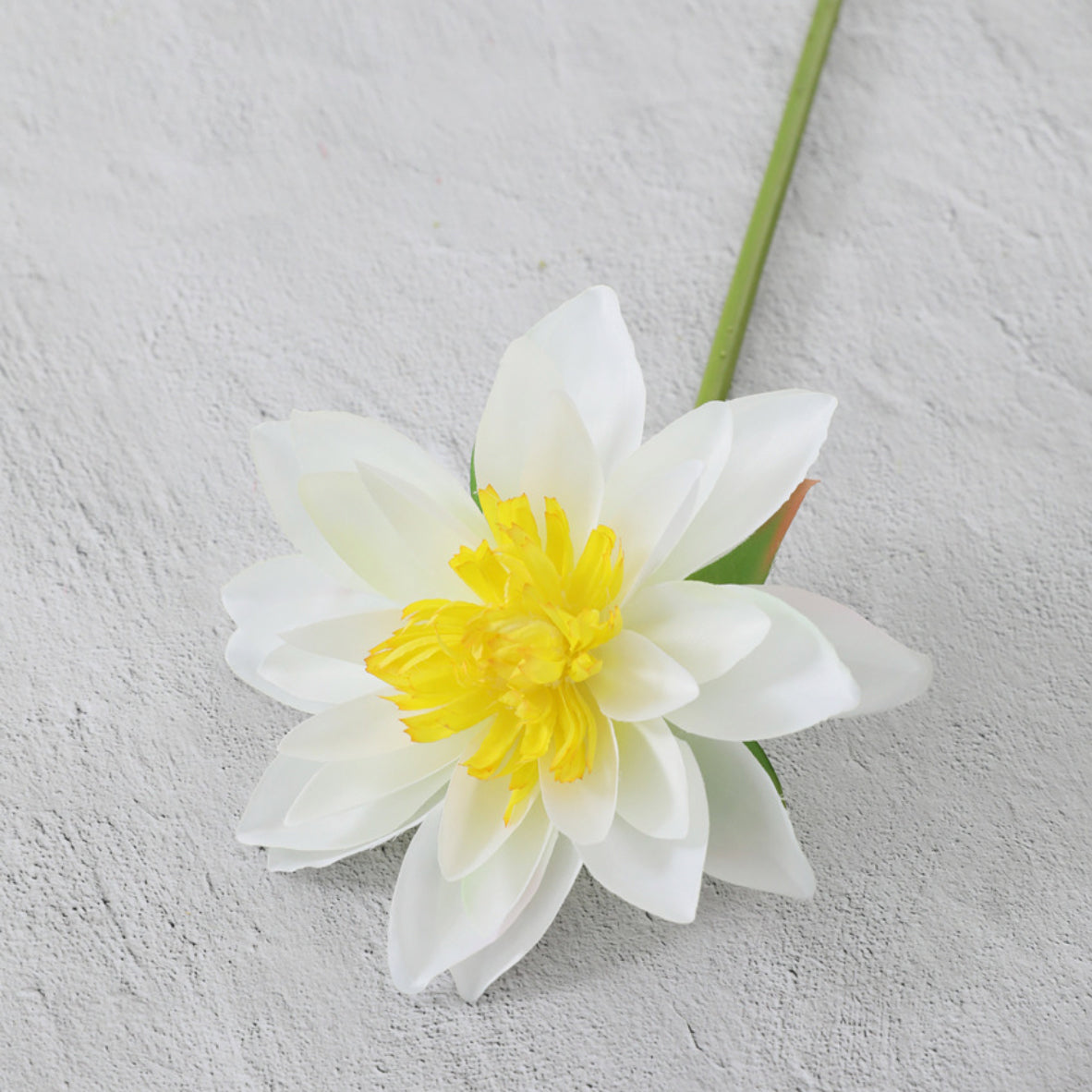 Artificial Lotus Nestasia