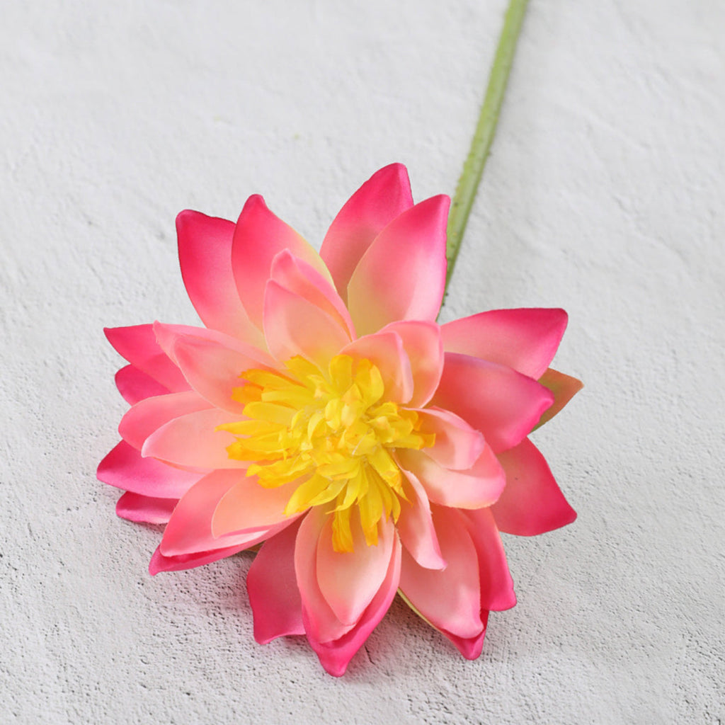 Artificial Lotus Nestasia