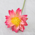 Artificial Lotus Nestasia