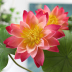 Artificial Lotus Nestasia